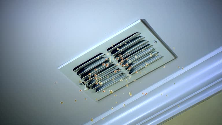 Best Home Air Vent Cleaning  in Barneveld, WI